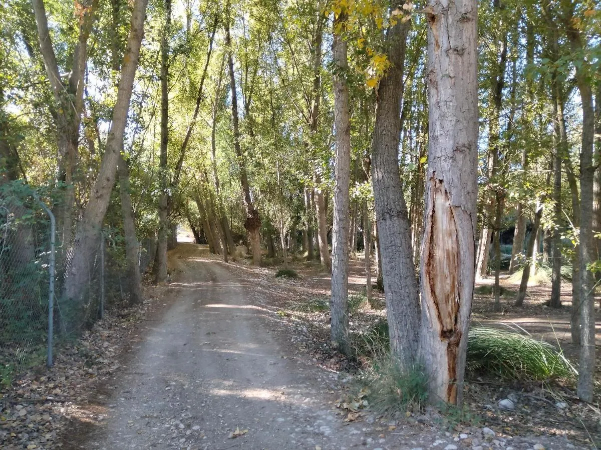 Holiday home Casa Cueva Salamandra Pozo Alcon