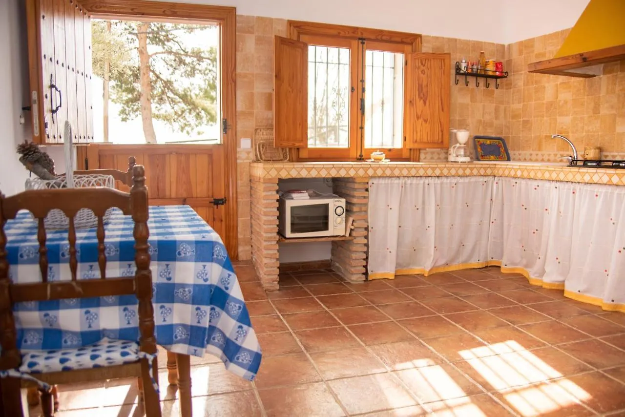 Casa Cueva Salamandra Pozo Alcon 0*,  Spain